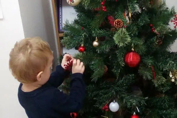 Christmas at Monkey Puzzle